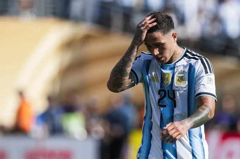 Fernandez: We gave our all for Argentina